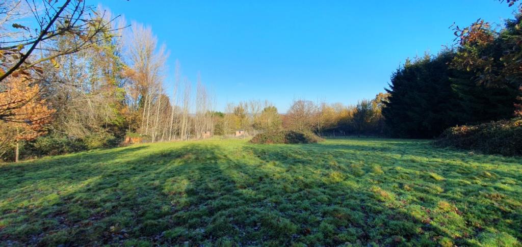 Lot: 44477 - LAND WITH STABLES AND DERELICT BARN - Field